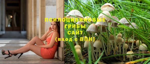 МДМА Гусев