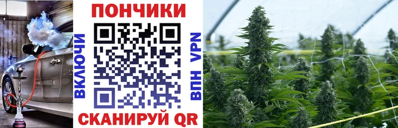 Купить  Калачинск  Каннабис VHQ 